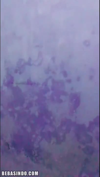Bokep Indo Ukhti Sange Melet Spill Uting Toketnya