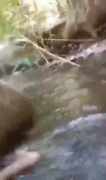 Bokep Indo Real ABG Kena Rudapaksa Di Sungai